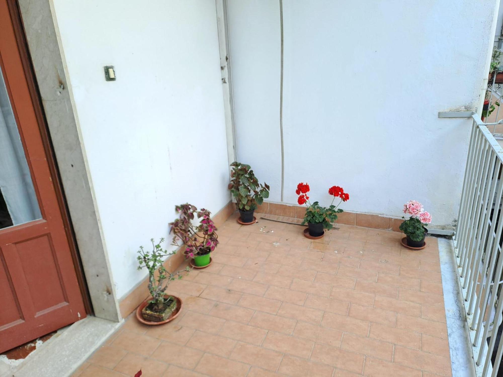 B&B Domus Pina 카타니아 외부 사진