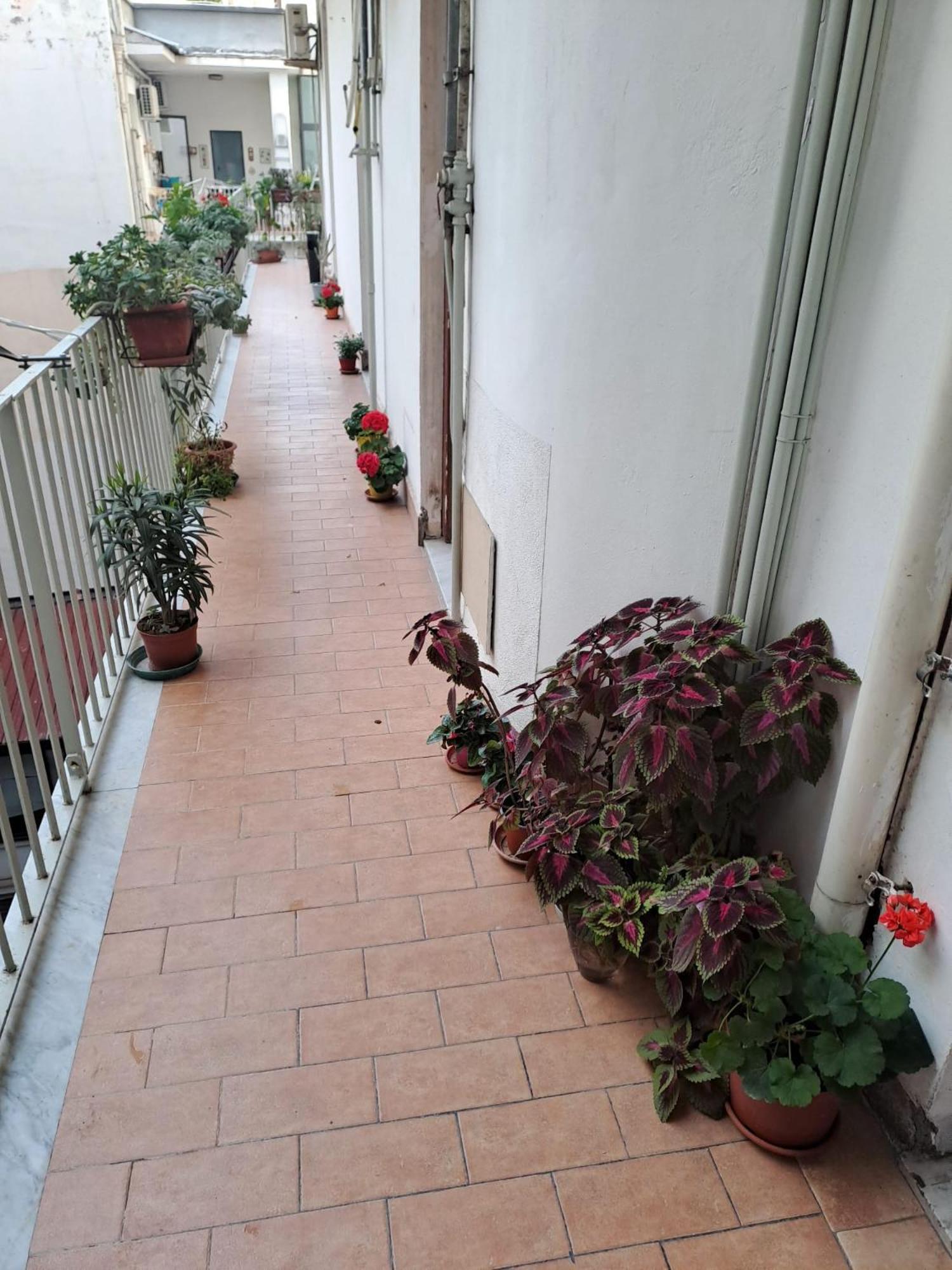 B&B Domus Pina 카타니아 외부 사진