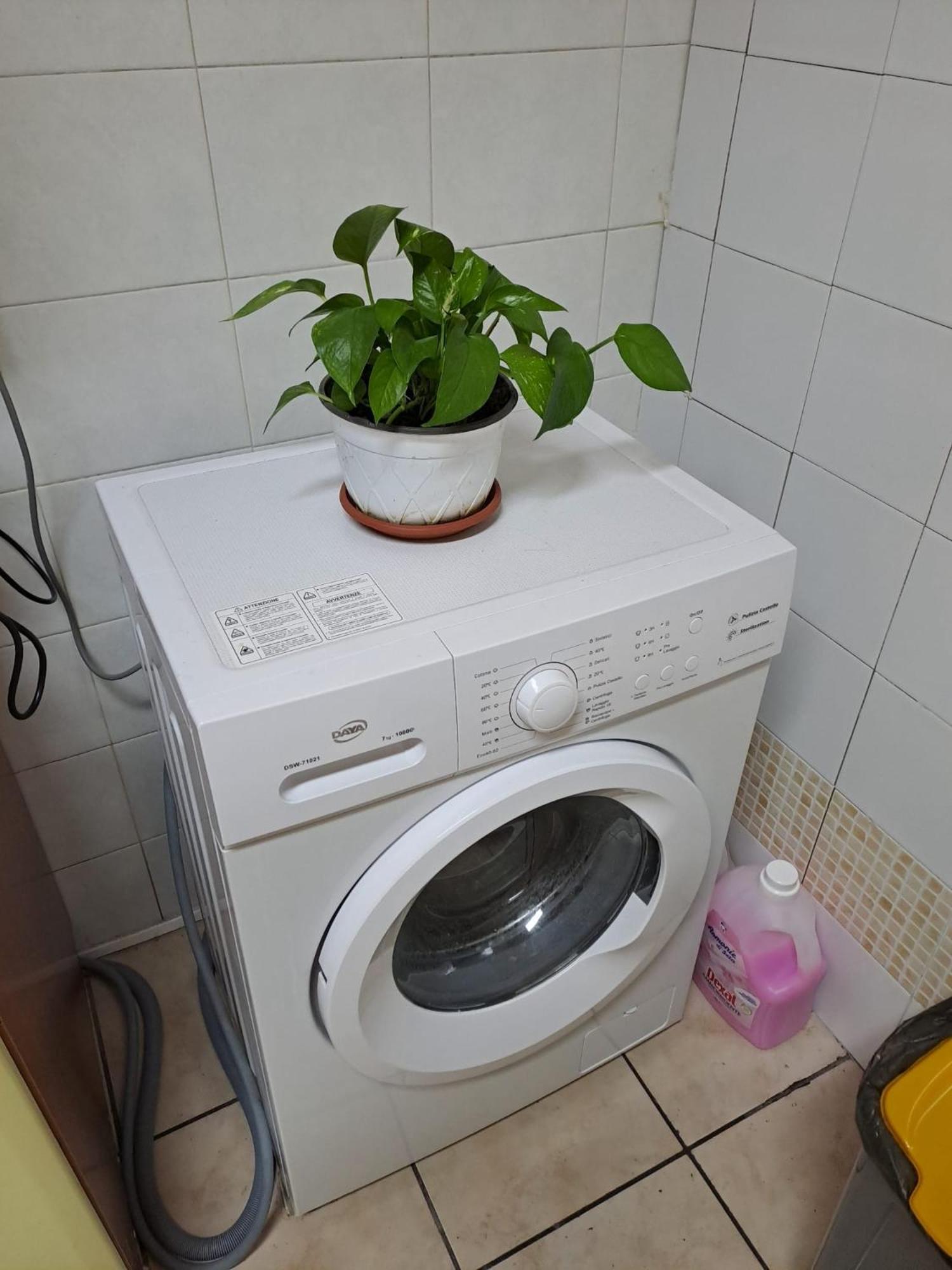 B&B Domus Pina 카타니아 외부 사진